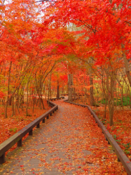 KakaoTalk_20250831_100953863_02.png 이미지