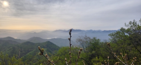 금봉산 경치_1.jpg 이미지